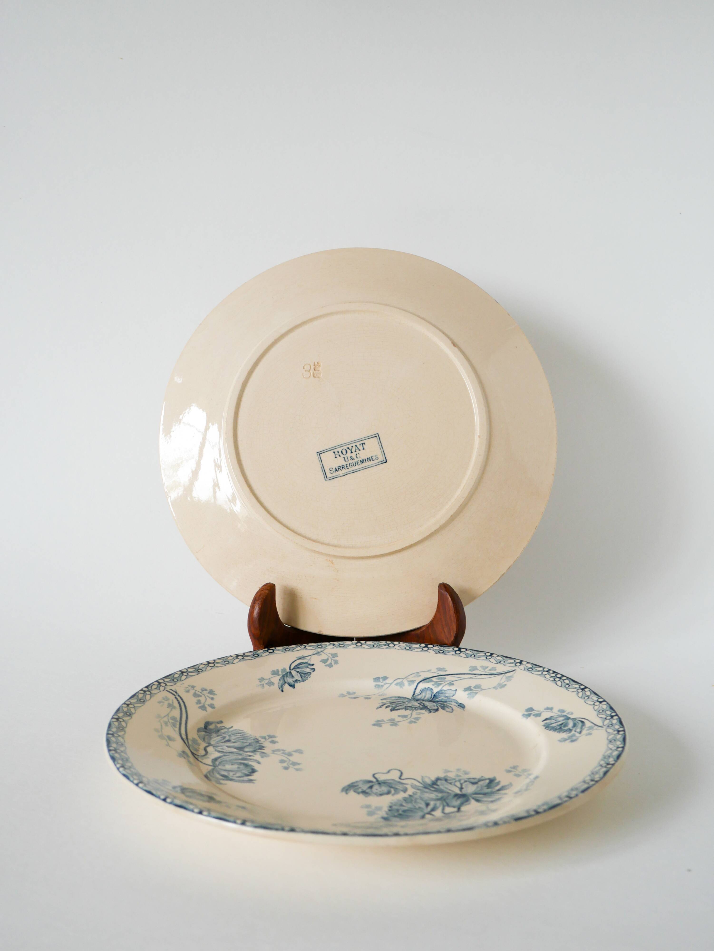 Pair of flat plates in Iron Earth U&C Digoin Sarreguemines model "Royat", 19th century