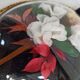 Frame dried flowers and synthetic flowers of oval shape Bombé