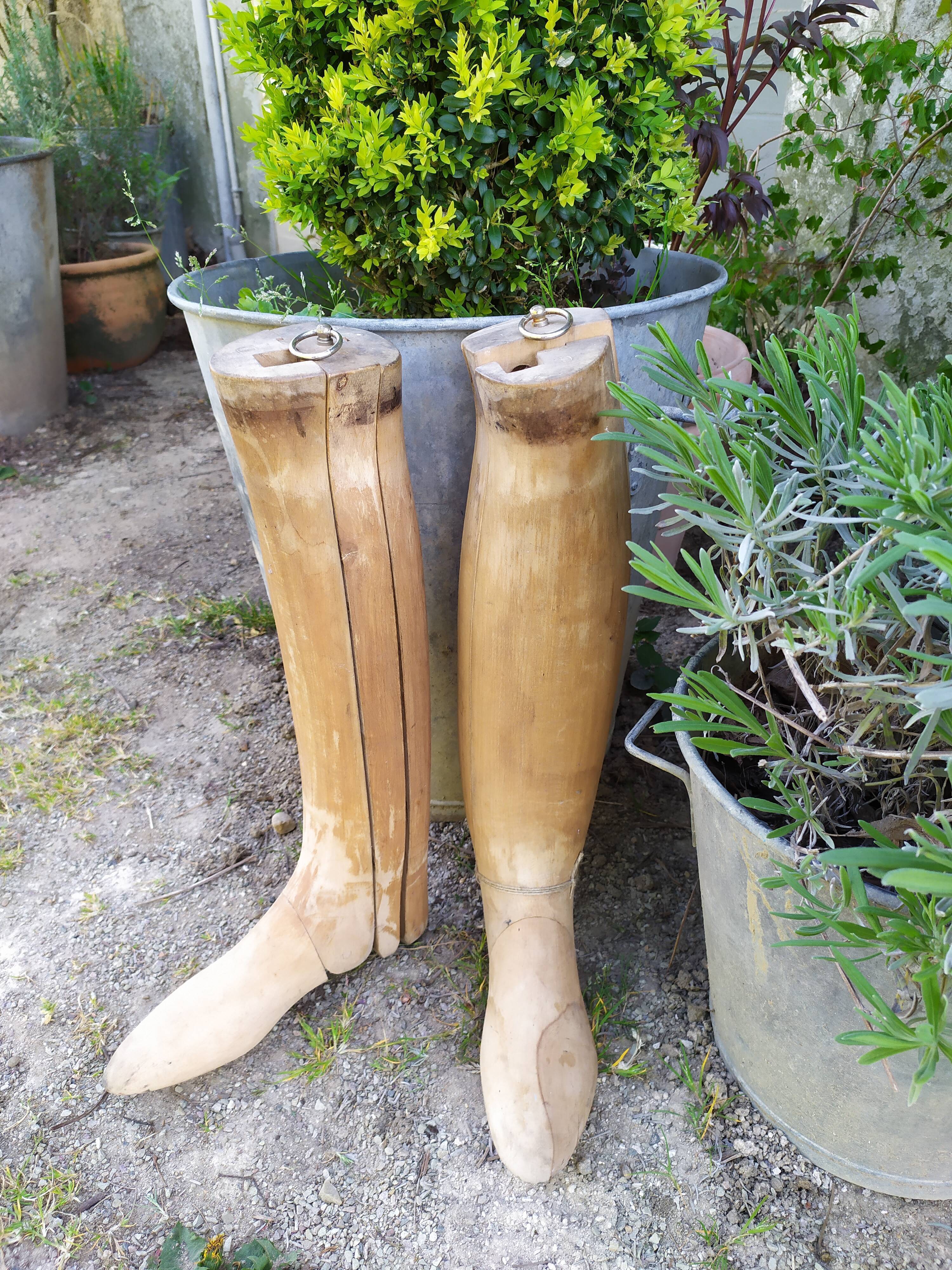 Boot shoe trees