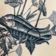 2 raviers en faience Badonviller décor poisson modele ecran