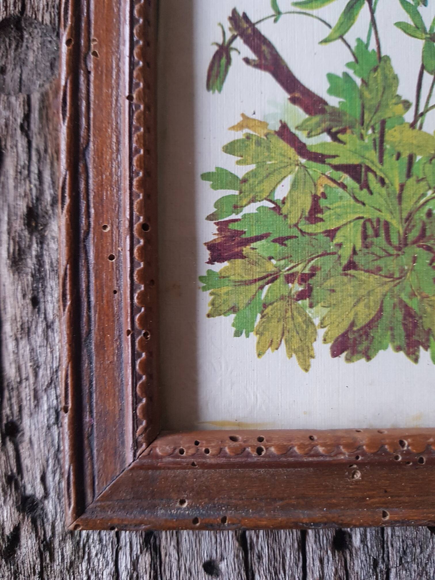 Botanical board frame