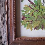 Botanical board frame