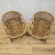 Rattan armchairs