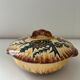 Sugar bowl signed P. Fouillen Quimper
