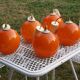 Set of 5 orange glass ball pendants from the 70s