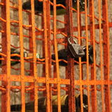 Wine cellar model cage metal cabinet