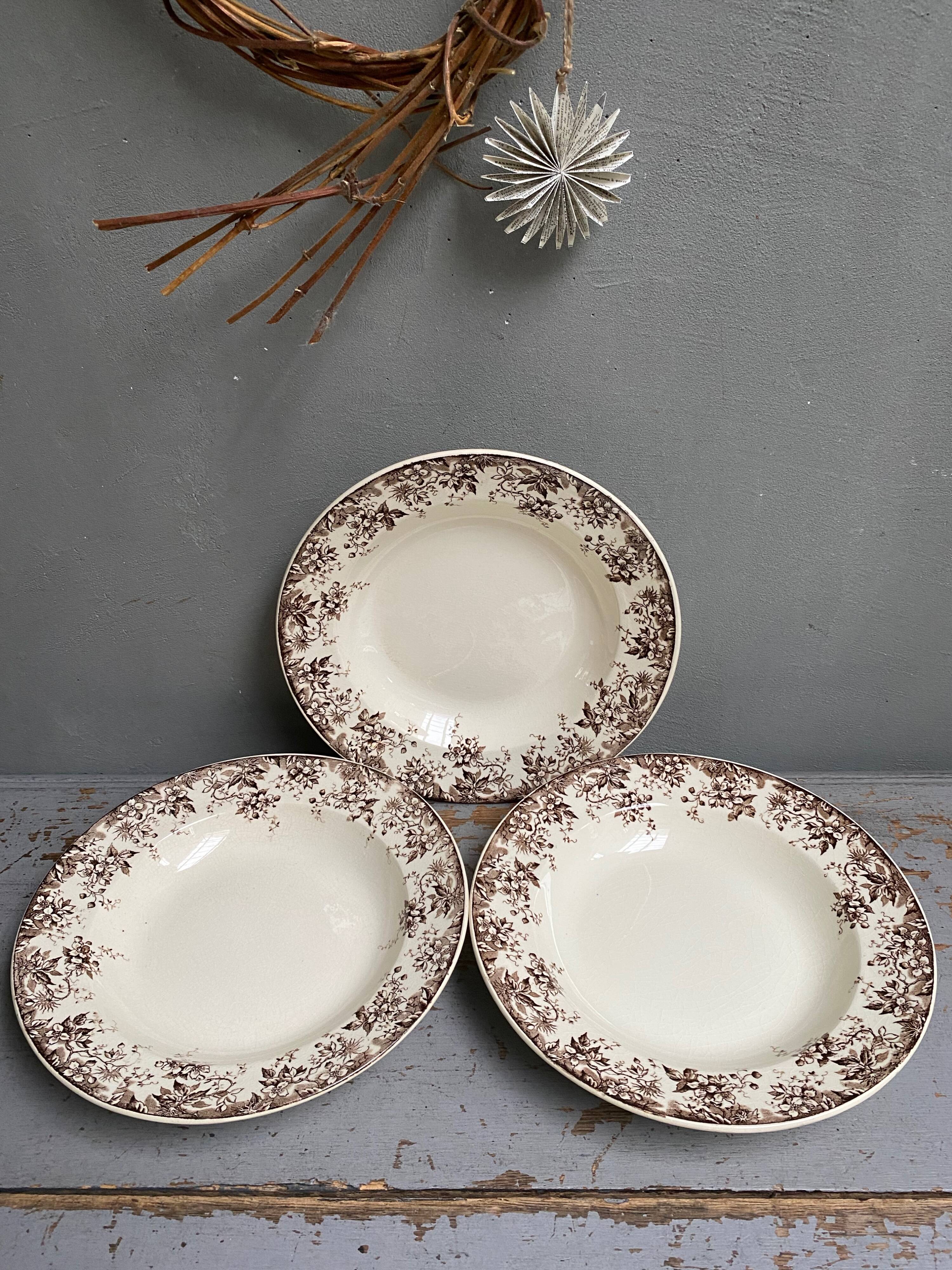 Old hollow plates earthenware of Sarreguemines