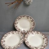 Old hollow plates earthenware of Sarreguemines