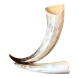 Large horn lamp