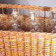Set of pharmacy vials and wicker trunk