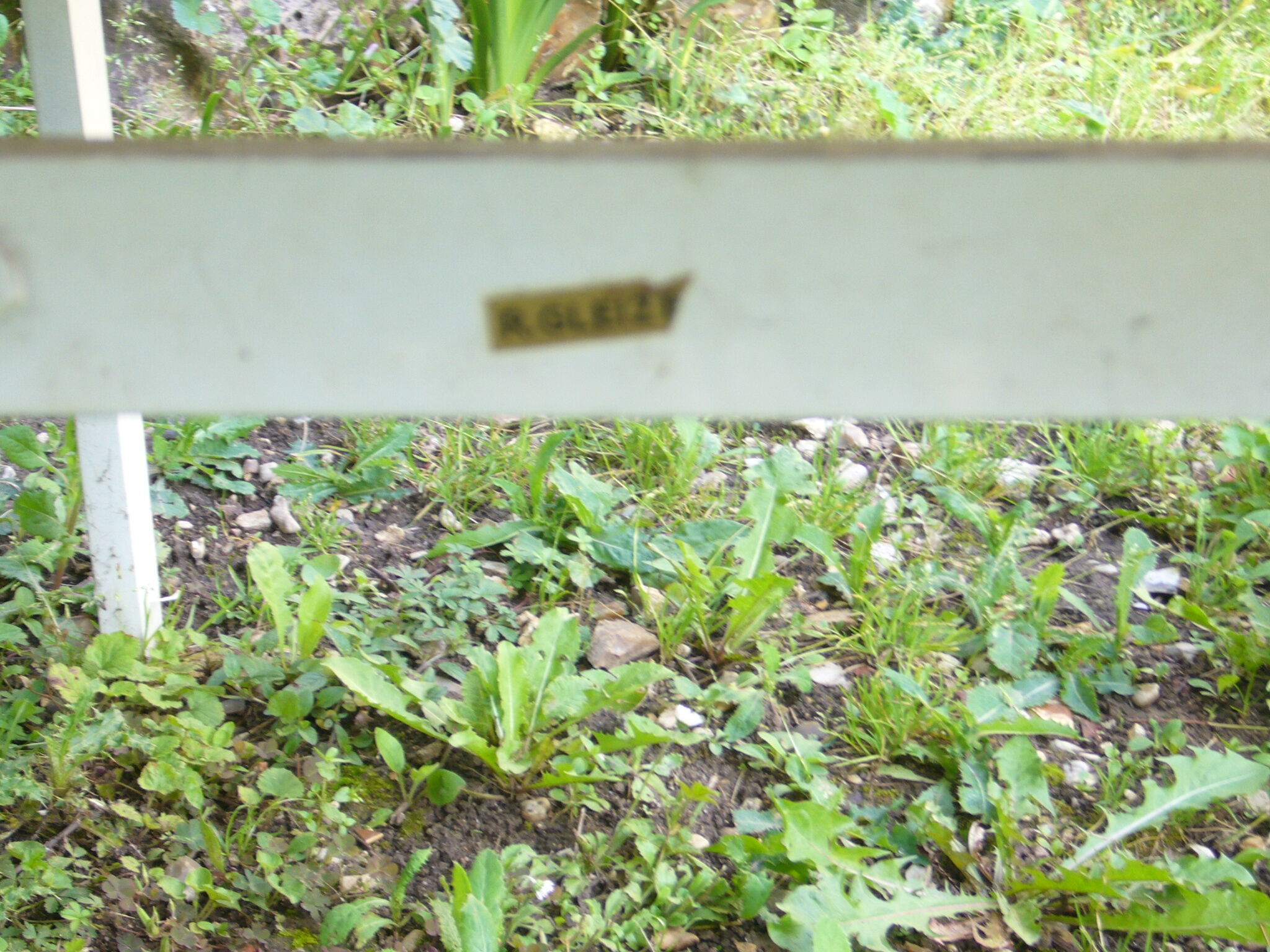 wooden folding garden table