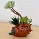Vase pique flower hedgehog