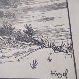 Antique print - Pine, sea and cliff - Lithograph from 1902