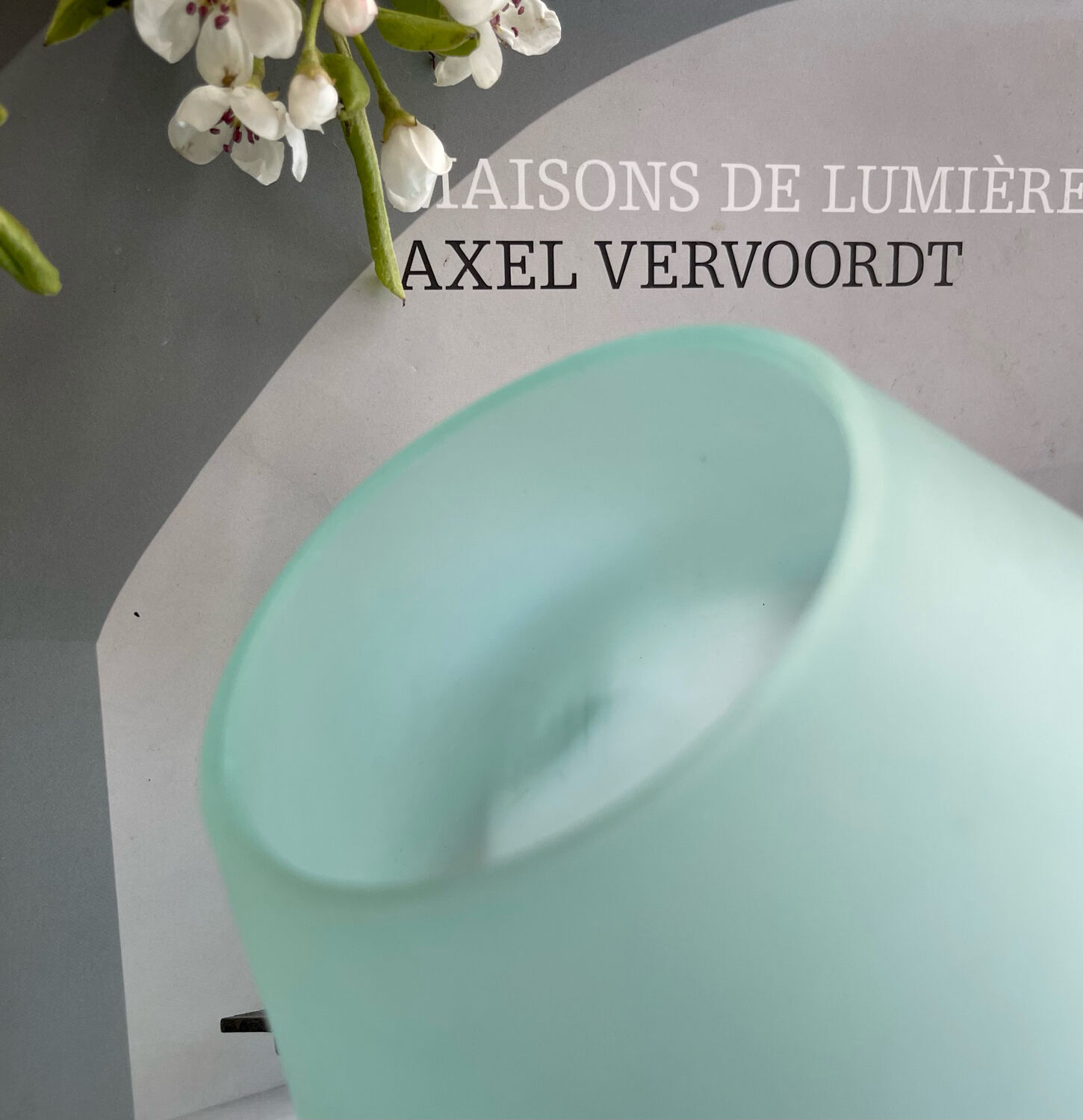 Frosted glass mushroom lamp