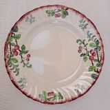Plat Longwy cerises