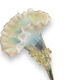 Tulip tree centerpiece in opalescent glass and bronze nineteenth
