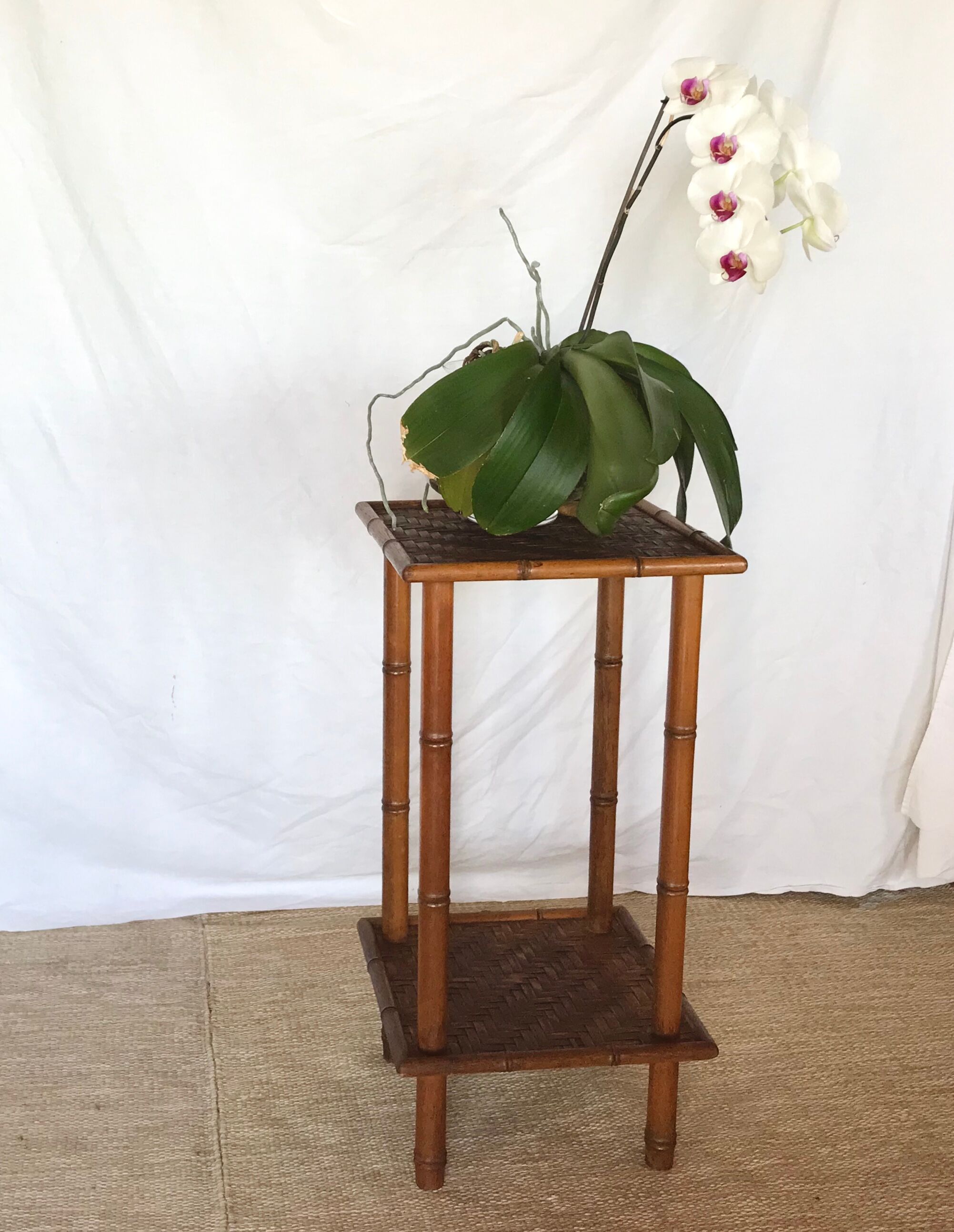 Rattan harness early twentieth