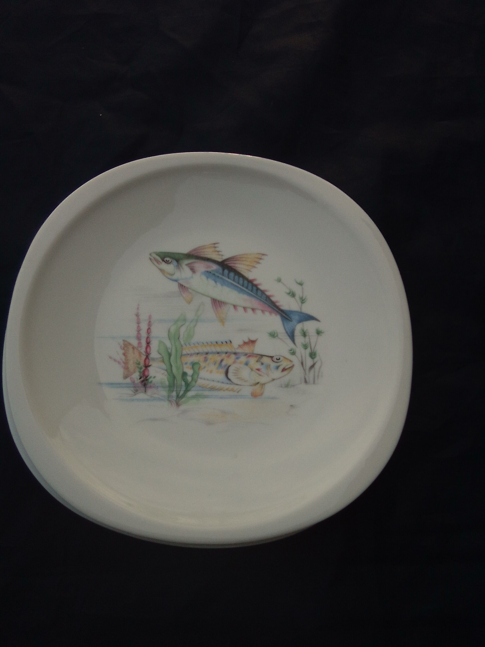 8 fish plates in Sologne porcelain 23 X 23 cm