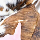 Italian lounge chair, 1970