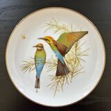 Limited edition bird plate