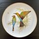Limited edition bird plate