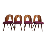 Vintage chairs by Antonin Suman from the 1960s, Set of 4