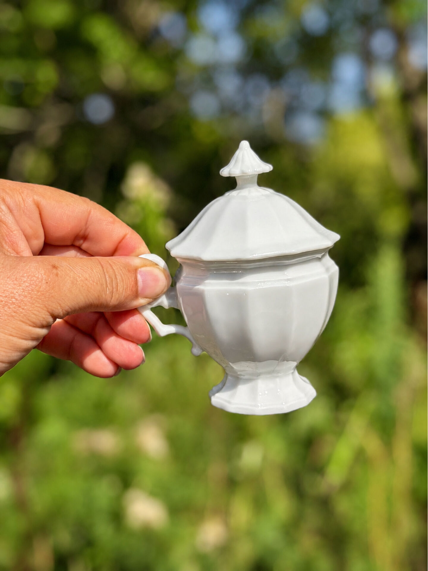 Porcelaine blanche