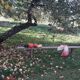 Farm bench