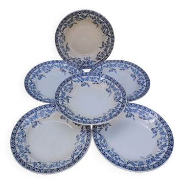 Deep plates, Saint Amand Volubilis model, ironstone