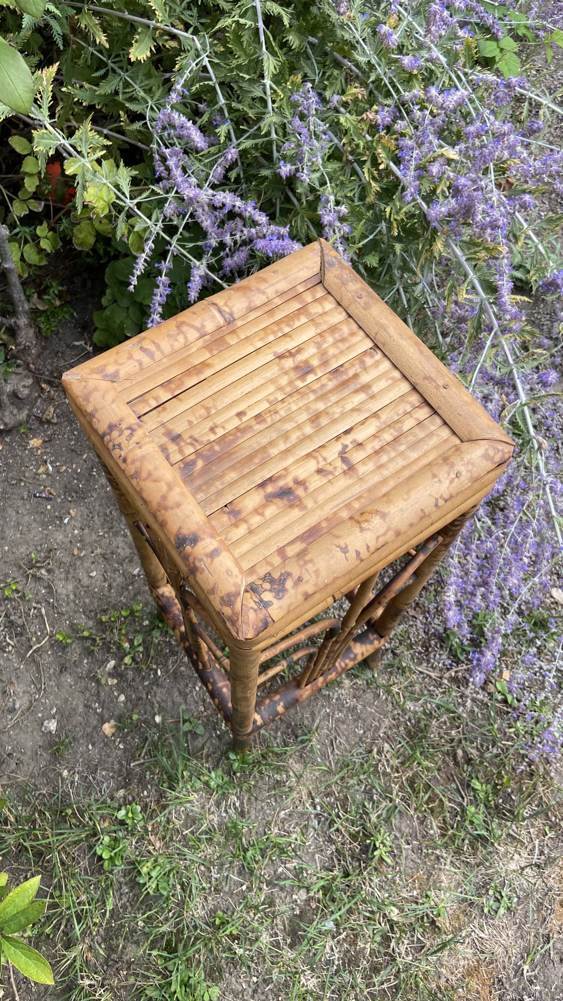 Plant holder or harness in rattan and vintage bamboo