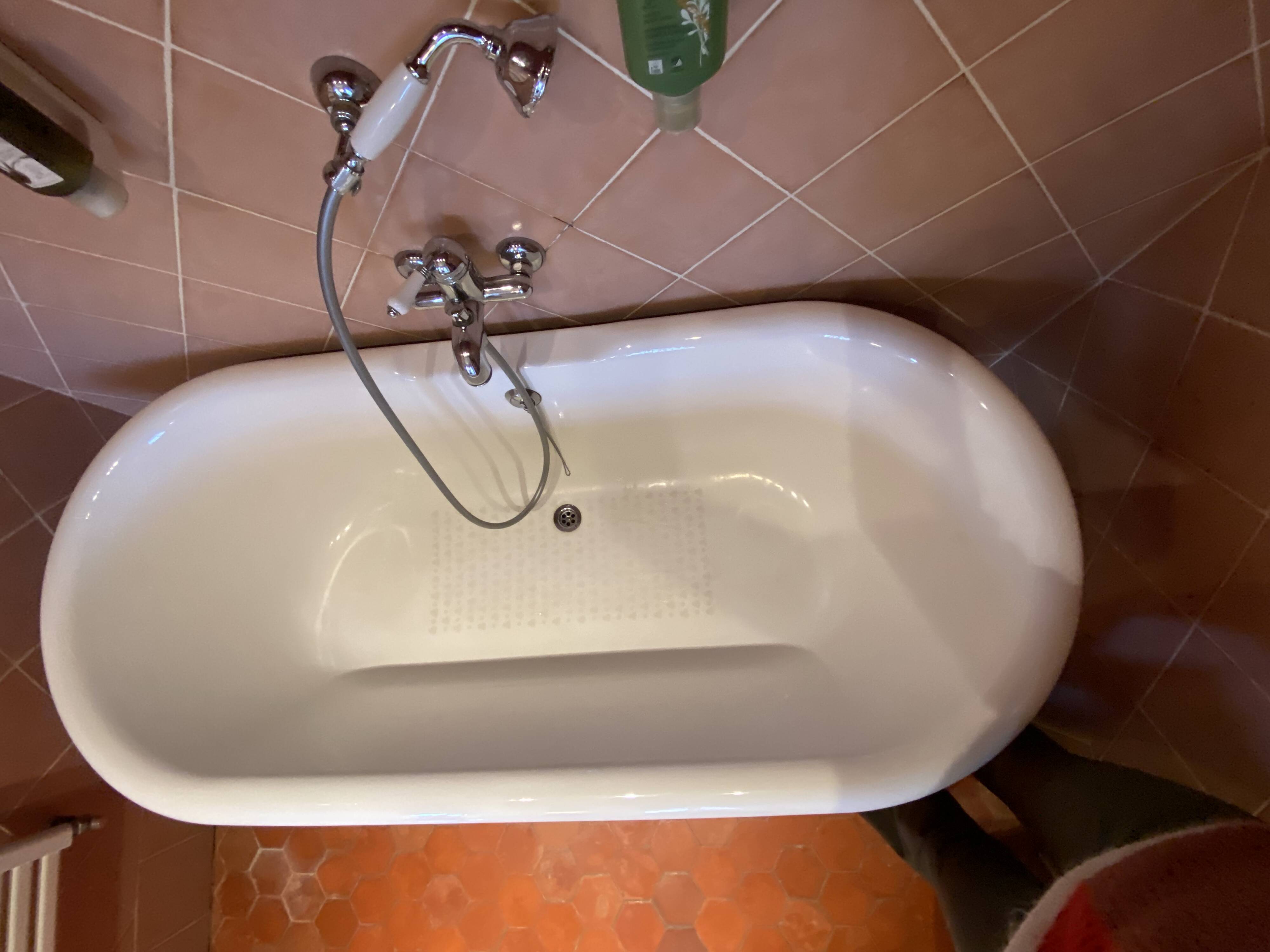 baignoire à pattes de lion