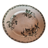Badonviller faience plate