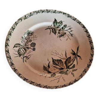 Badonviller earthenware plate