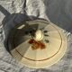 Antique Sarreguemines soup tureen with lid, rose pattern, D33 H28.
