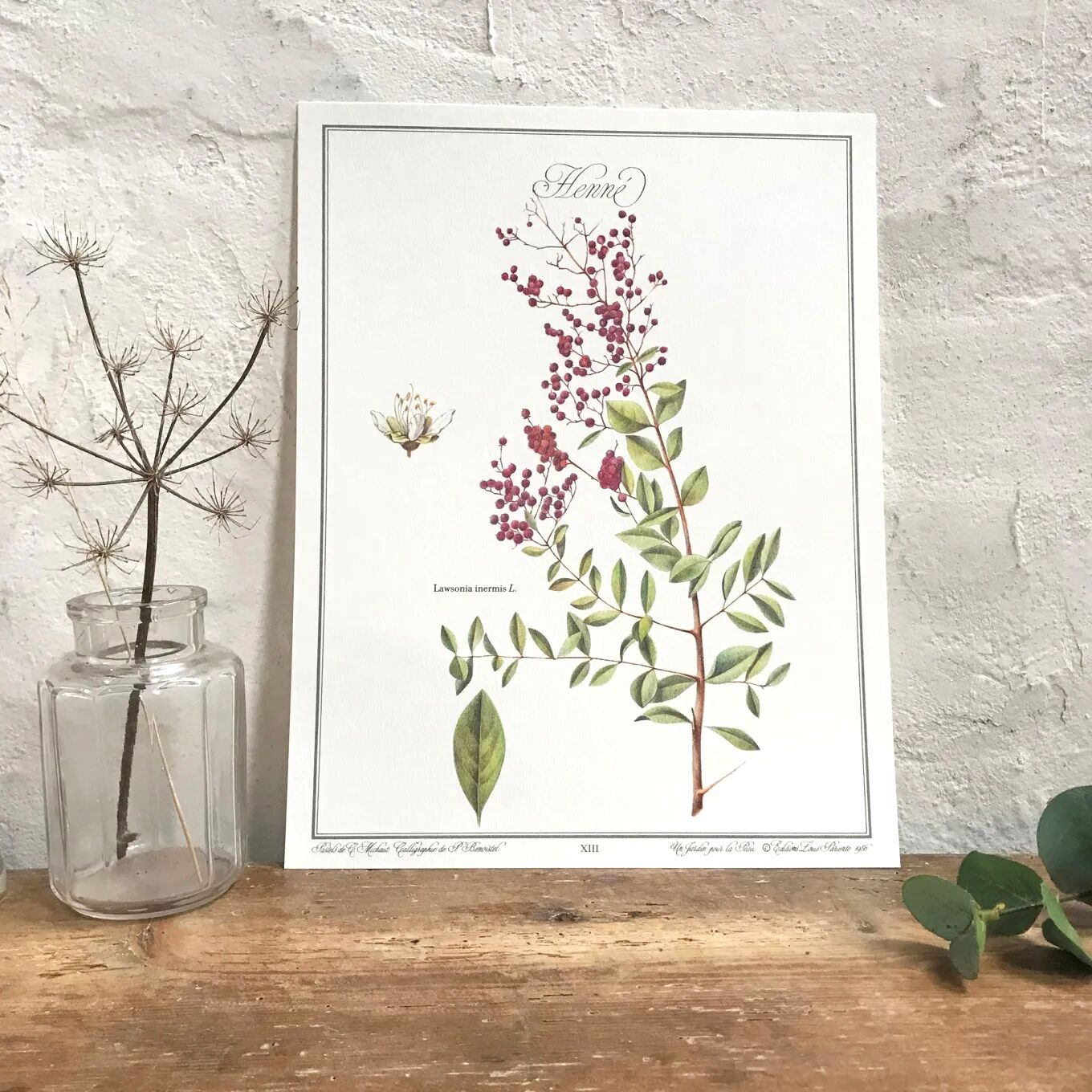 Botanical plate henna