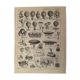 Lithograph on hot air balloons (aerostation) from 1897