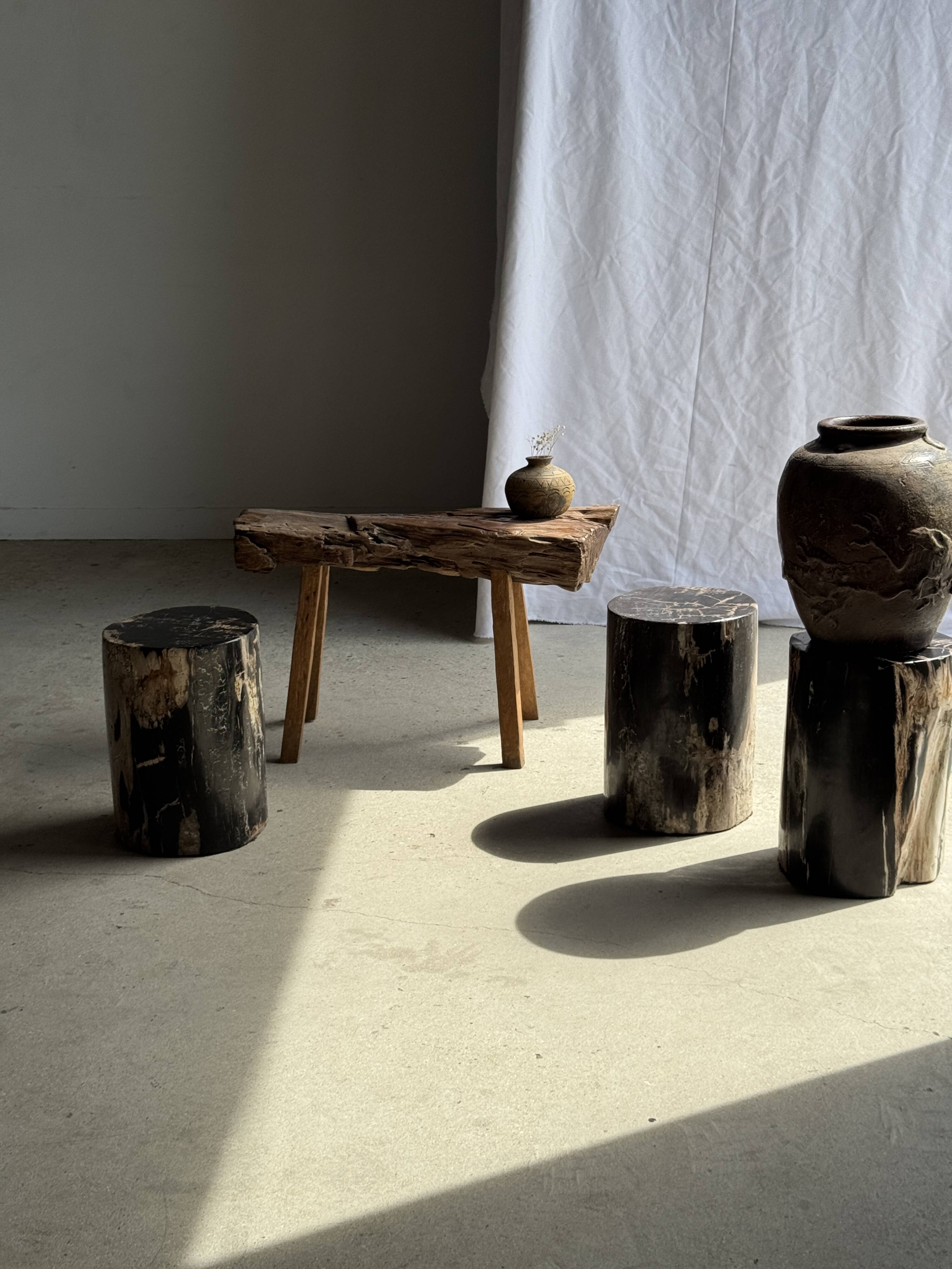 Black petrified wood side table with beige stripes, star pattern H35 D24.