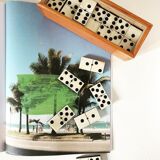 Dominos anciens bois corne