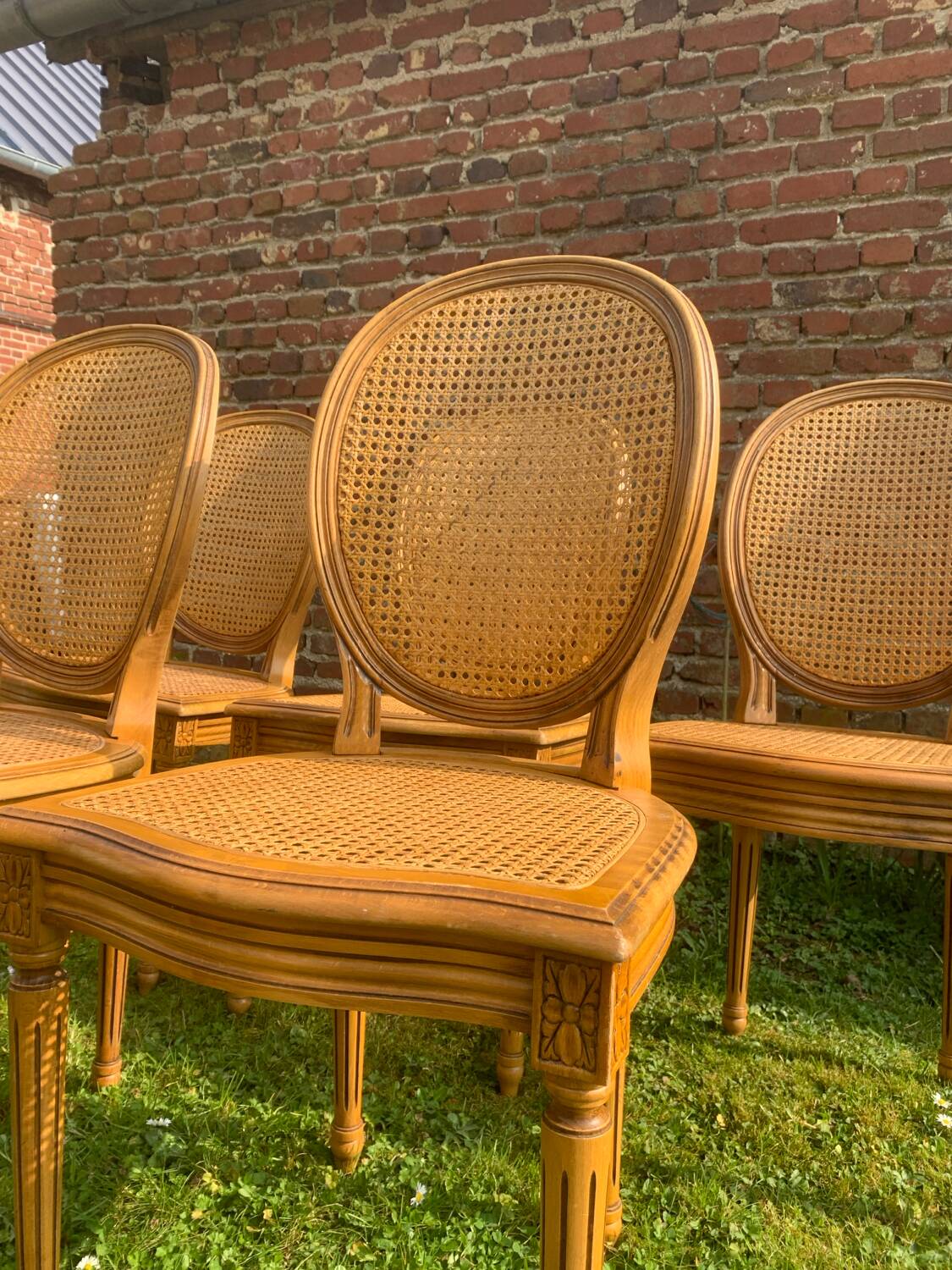 Set of 6 Louis XVI style cane medallion chairs