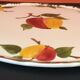 Vintage Dish Villeray and Boch