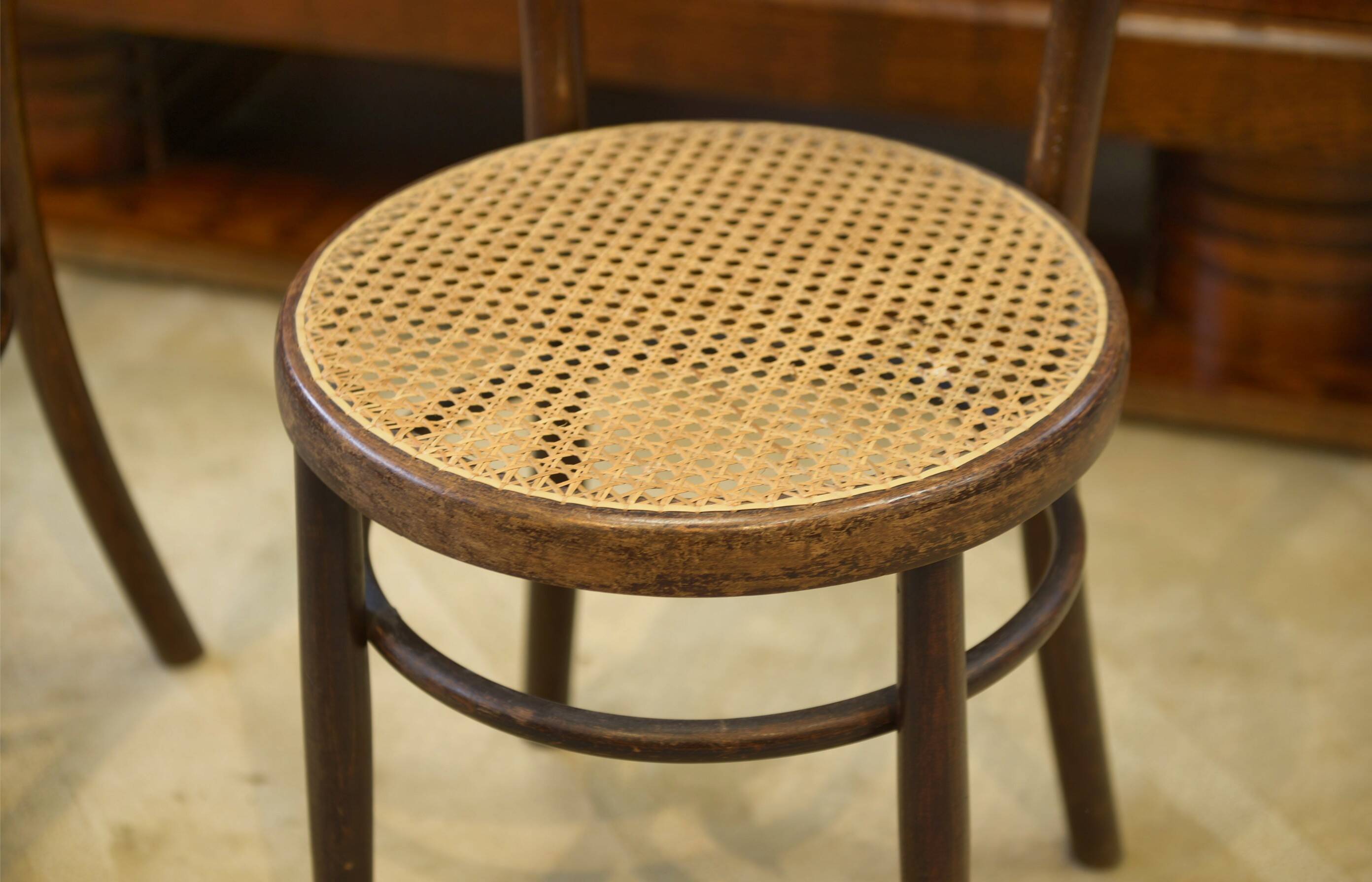 Pair of curved wooden bistro chairs stamped Fischel 1930s