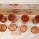 Set of 4 vintage kitchen pots in terracotta decoration daisy