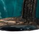 Vase en céramique émaillée turquoise du Moyen-Orient, début du XXe siècle