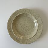 Speckled plate