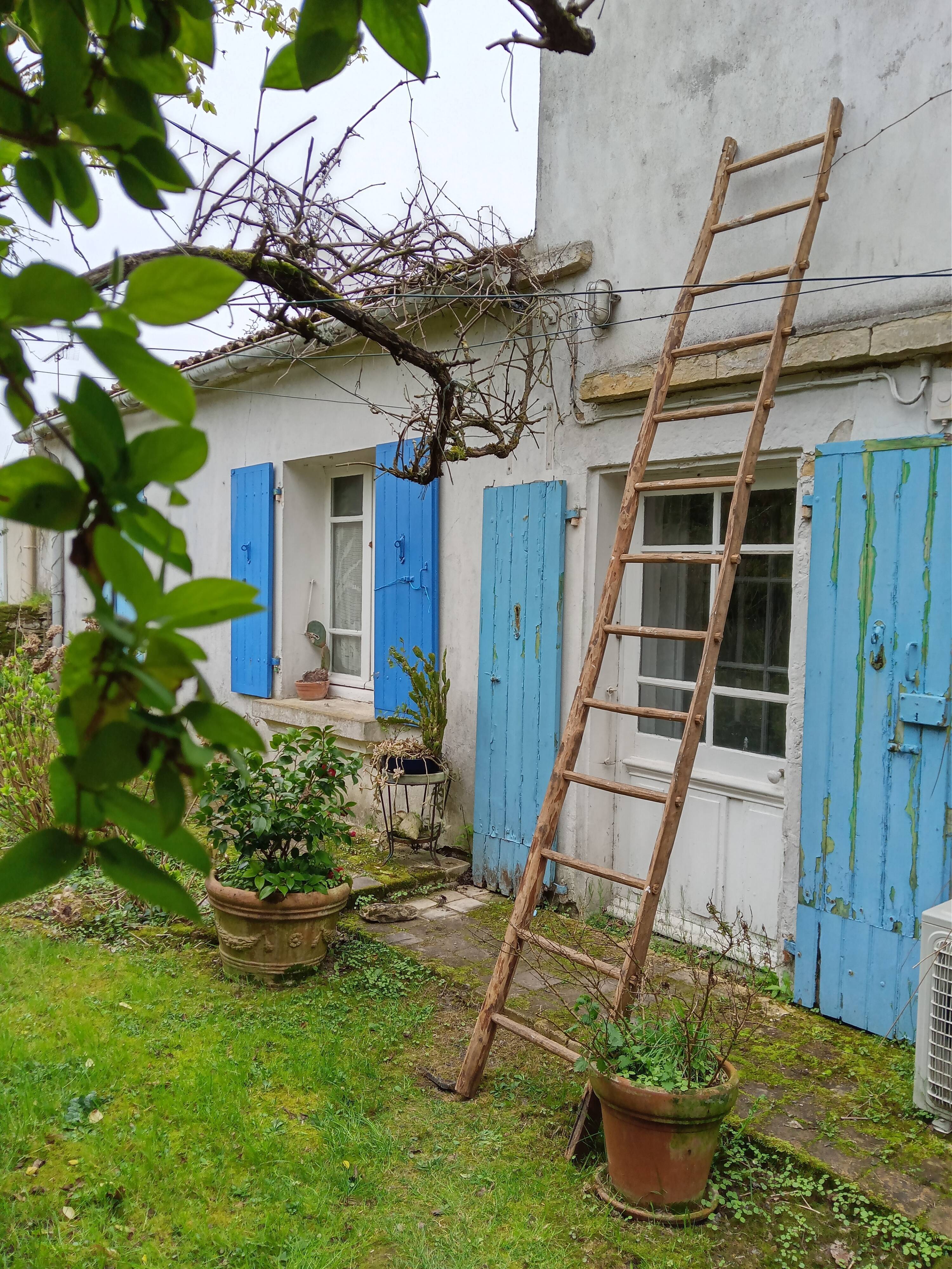 Old wood scale 3.2 m