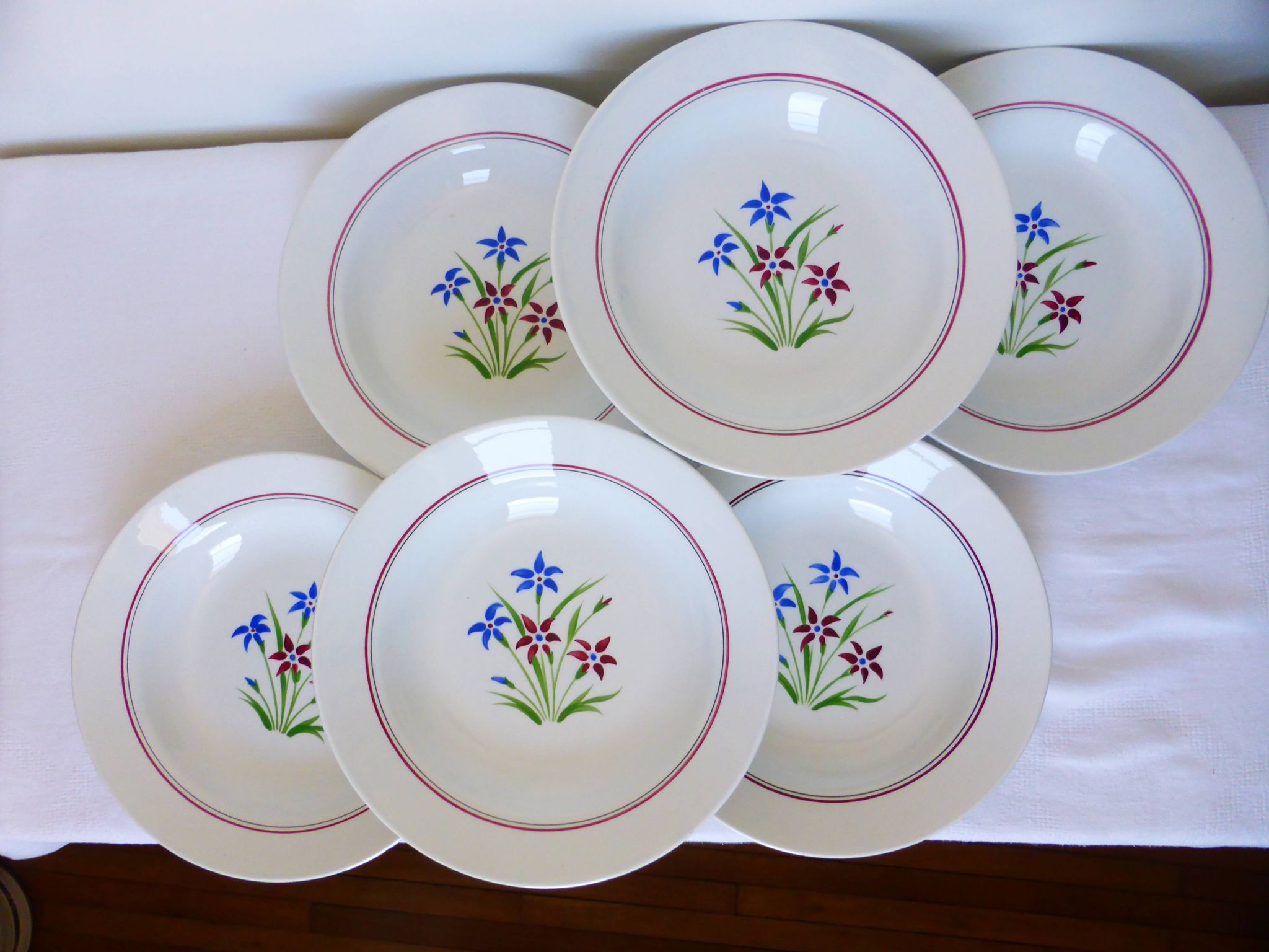 6 assiettes creuses des Salins modèle Lily