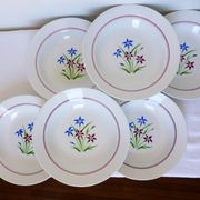 6 assiettes creuses des Salins modèle Lily