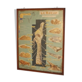 Jacques Lanore's educational poster - Le Pan de Boeuf
