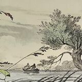 Original zoological plate of 1839 " le barbeau, la carpe,.....