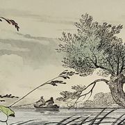 Original zoological plate of 1839 " le barbeau, la carpe,.....